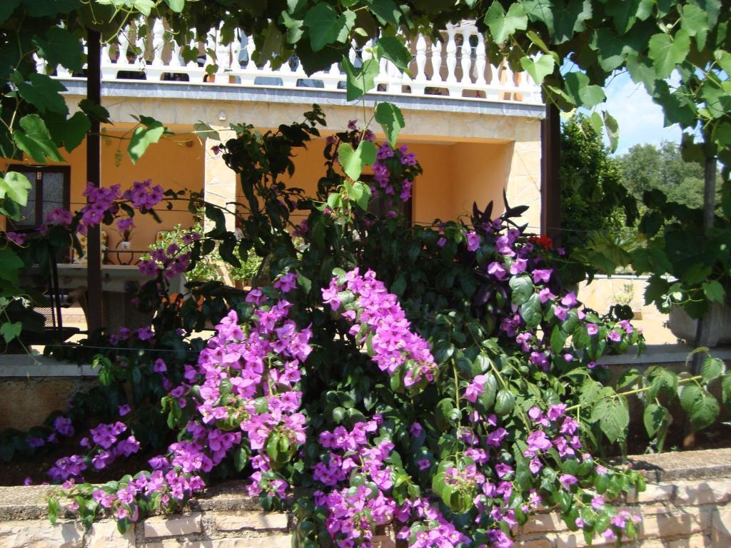 Apartments Alice Green Oasis - Poreč Kamer foto